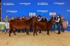 1_SIXM_149D_330G_Champ_Female