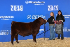 1_SIXM_342G_Junior_calf_Champ