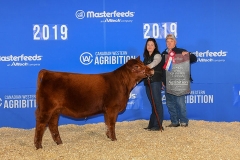 1_SIXM_387G_Junior_calf_champ