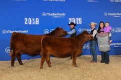 1_SIXM_809E_200G_Champ_2yo