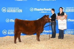 IntCalfChamp_SIXM-444J