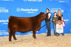 JuniorYearlingChamp_SVR-Ruby