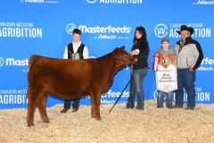 ResJuniorCalf_SIXM-667J