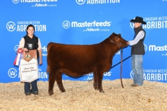 SeniorCalfChamp_Hami_SIXM-260J