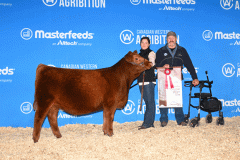 SIXM_55L_ResSrHfrCalf