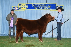 1_SIXM_675G_nwss_2020
