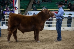 1_SIXM_675G_nwss_ring_2020