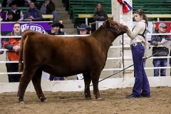 SIXM_406G_nwss_ring_2020