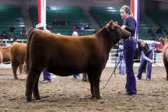 SIXM_748G_nwss_ring_2020
