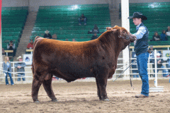 NWSS_Kolt_RingShot