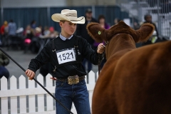 1_Eric_Edmonton_Junior_Show