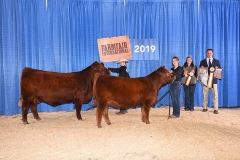 1_SIXM_809E_Champ_Junior_Show