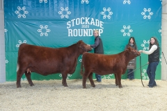SIXM_515F_Champion_Pair