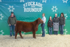 SVR_46G_Calf_Champion