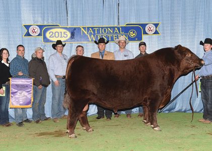 NWSS 2015 – Red Six Mile Kill Switch 135Z Named Champion Bull